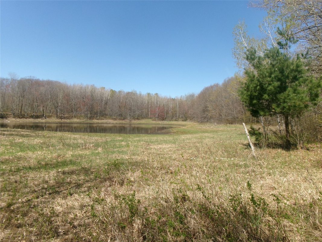 Tax ID 35410 Moody Lake Road, Sarona WI 54870 - Land house for sale - MLS #1601029 - image5