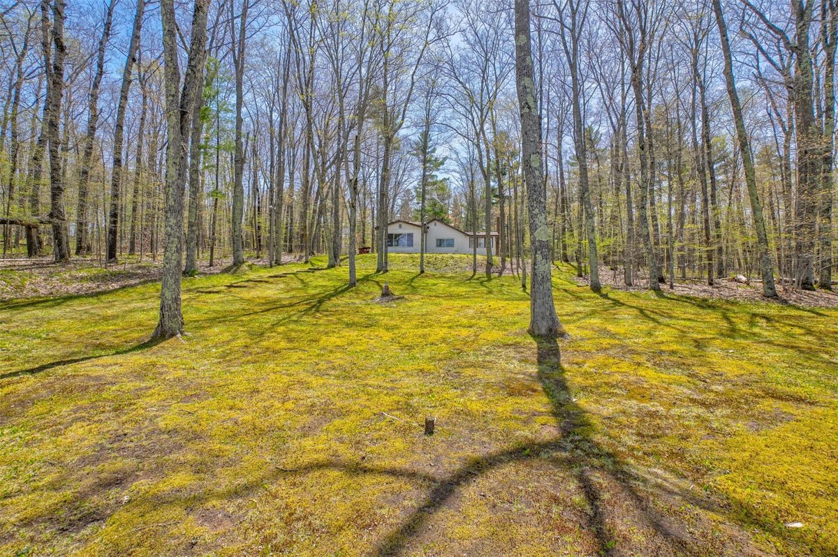 11404 Farnsworth Road, Hayward WI 54843 - Land house for sale - MLS #1600475 - image18