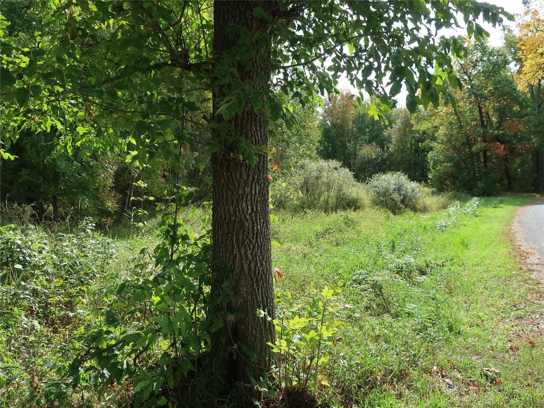 TBD Old 35, Siren WI 54872 - Land house for sale - MLS #1605520 - image8
