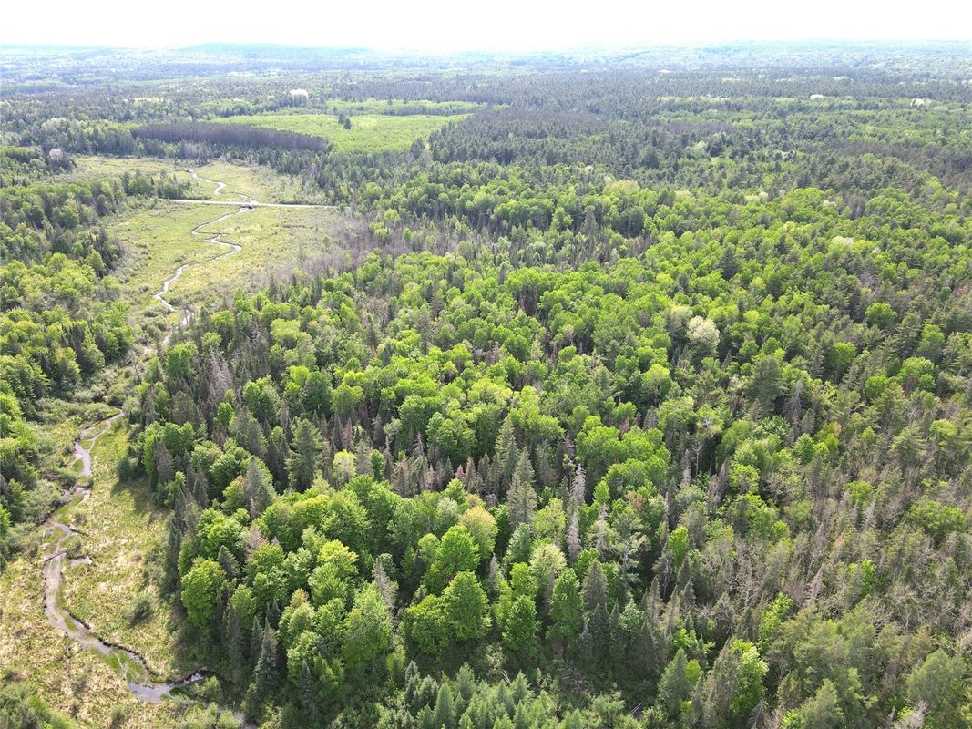 Lot 1 Smith Road, Couderay WI 54828 - Land house for sale - MLS #1601877 - image7