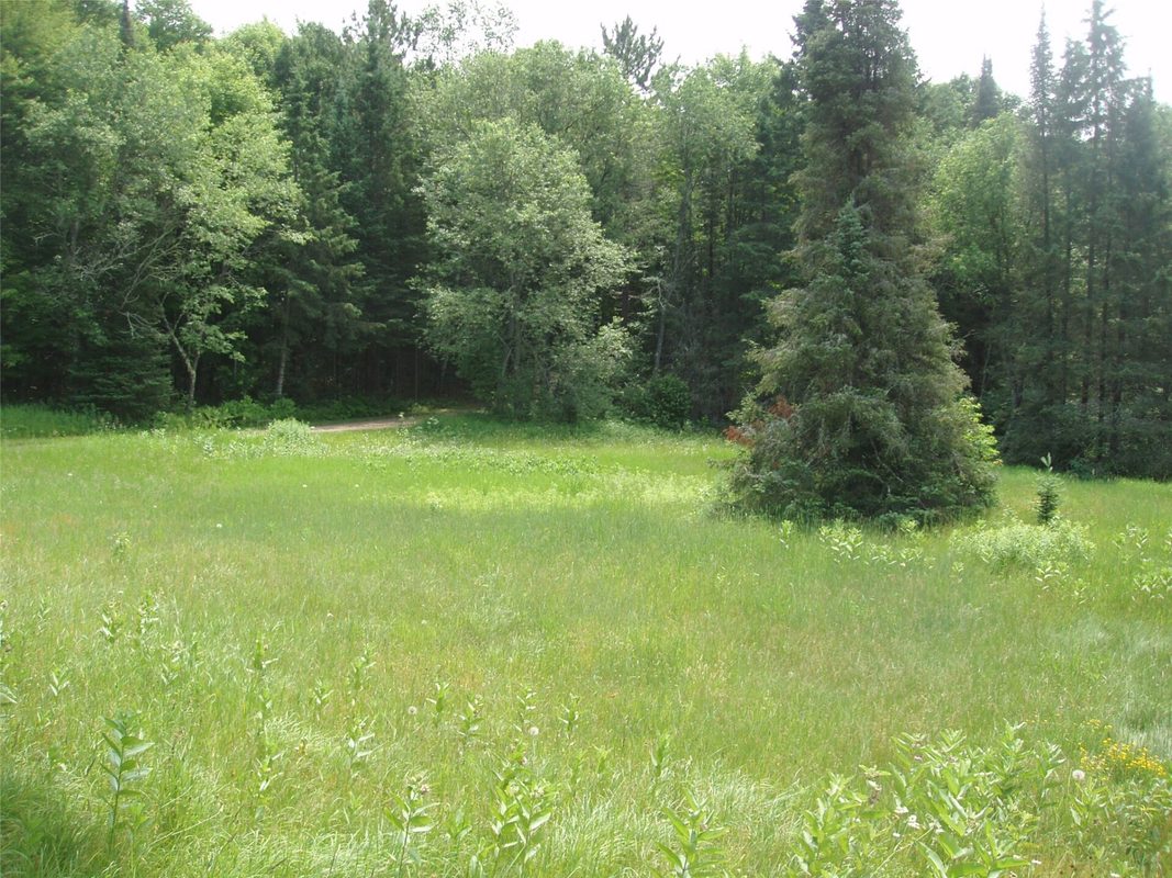 2460N County Highway FF, Butternut WI 54514 - Residential house for sale - MLS #1602950 - image23
