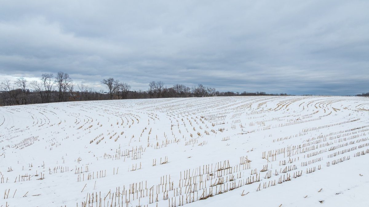 0 Maplewood Lane Alma WI 54610 — photo 4