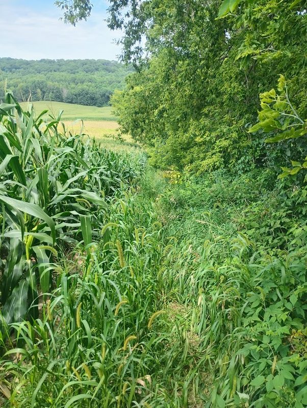 0 1130th, Colfax WI 54730 - Land house for sale - MLS #1604452 - image12