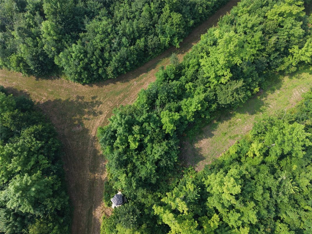 On County Road H, Radisson WI 54867 - Land house for sale - MLS #1603350 - image8