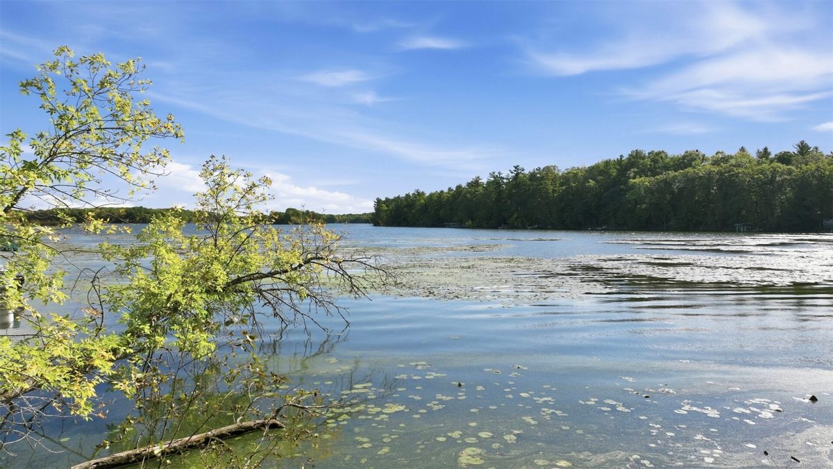 Lot 2 Sugar Bay Road, Chetek WI 54728 - Land house for sale - MLS #1605220 - image6