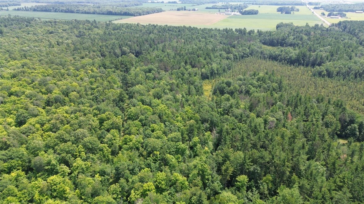 13743W State Highway 77, Hayward WI 54843 - Land house for sale - MLS #1603311 - image10
