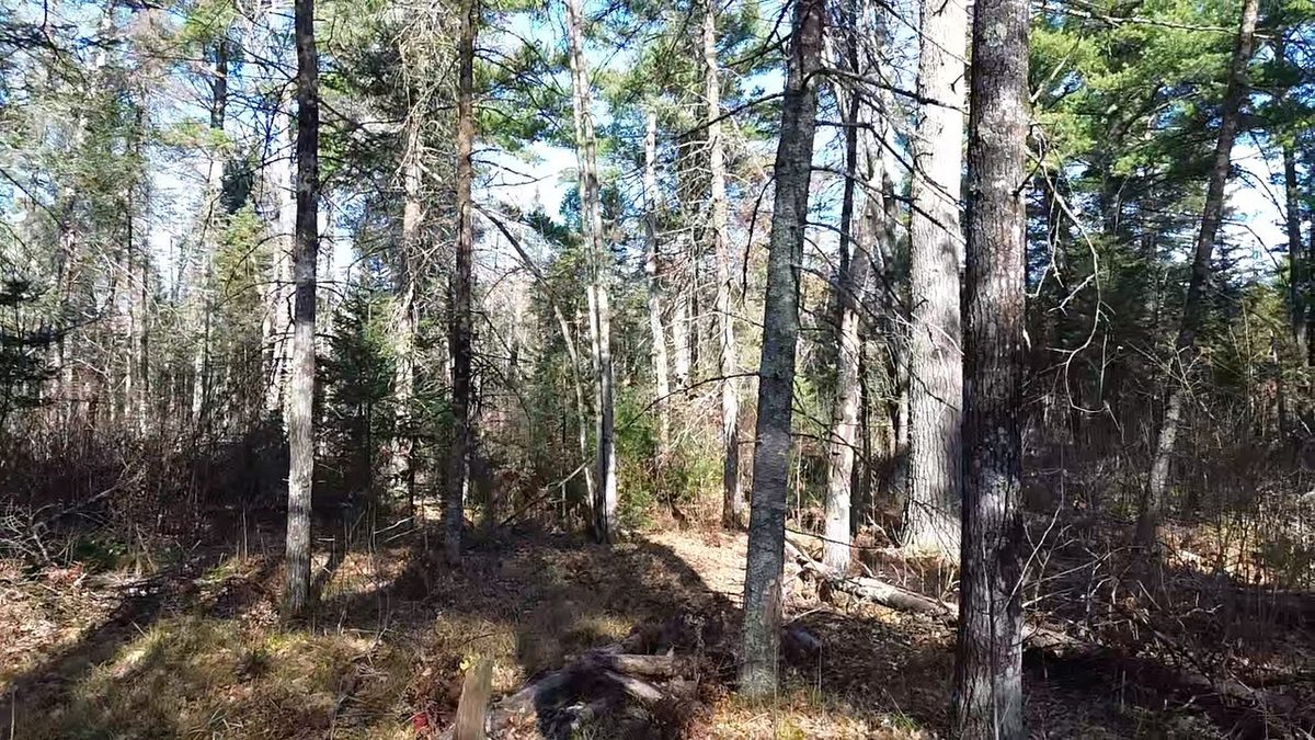 127XX State Highway 70, Couderay WI 54828 - Land house for sale - MLS #1606290 - image20