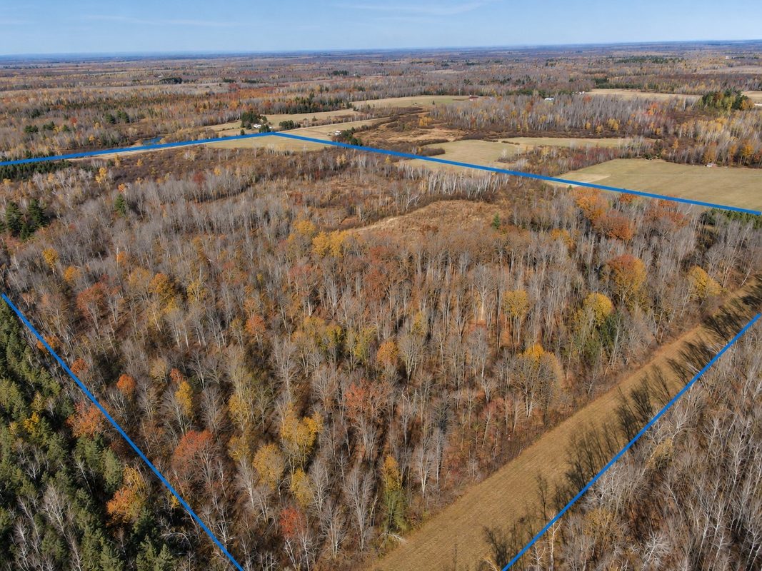 TBD Fedyn Road, Ladysmith WI 54848 - Land house for sale - MLS #1606244 - image3