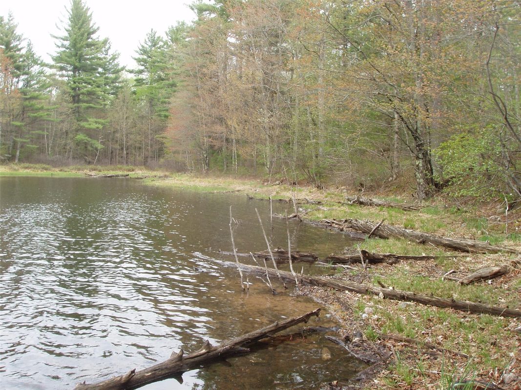 N16473 Patterson Lake Road, Park Falls WI 54552 - Land house for sale - MLS #1603551 - image13