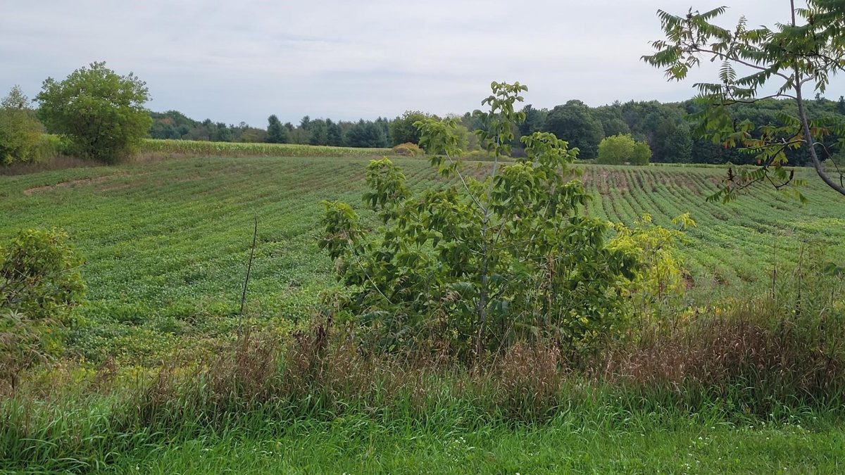 3585 Highway 49, Rosholt WI 54473 - Residential house for sale - MLS #1605185 - image5