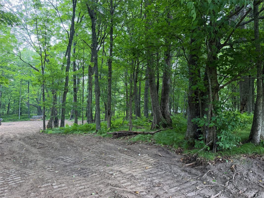 Lot 9 Hermosa Lane, Hayward WI 54843 - Land house for sale - MLS #1600925 - image13