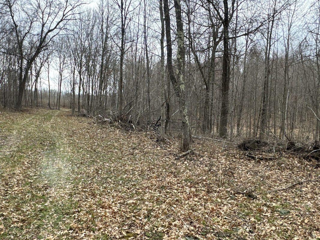 TBD Barrett Trail, Trego WI 54888 - Land house for sale - MLS #1600463 - image21