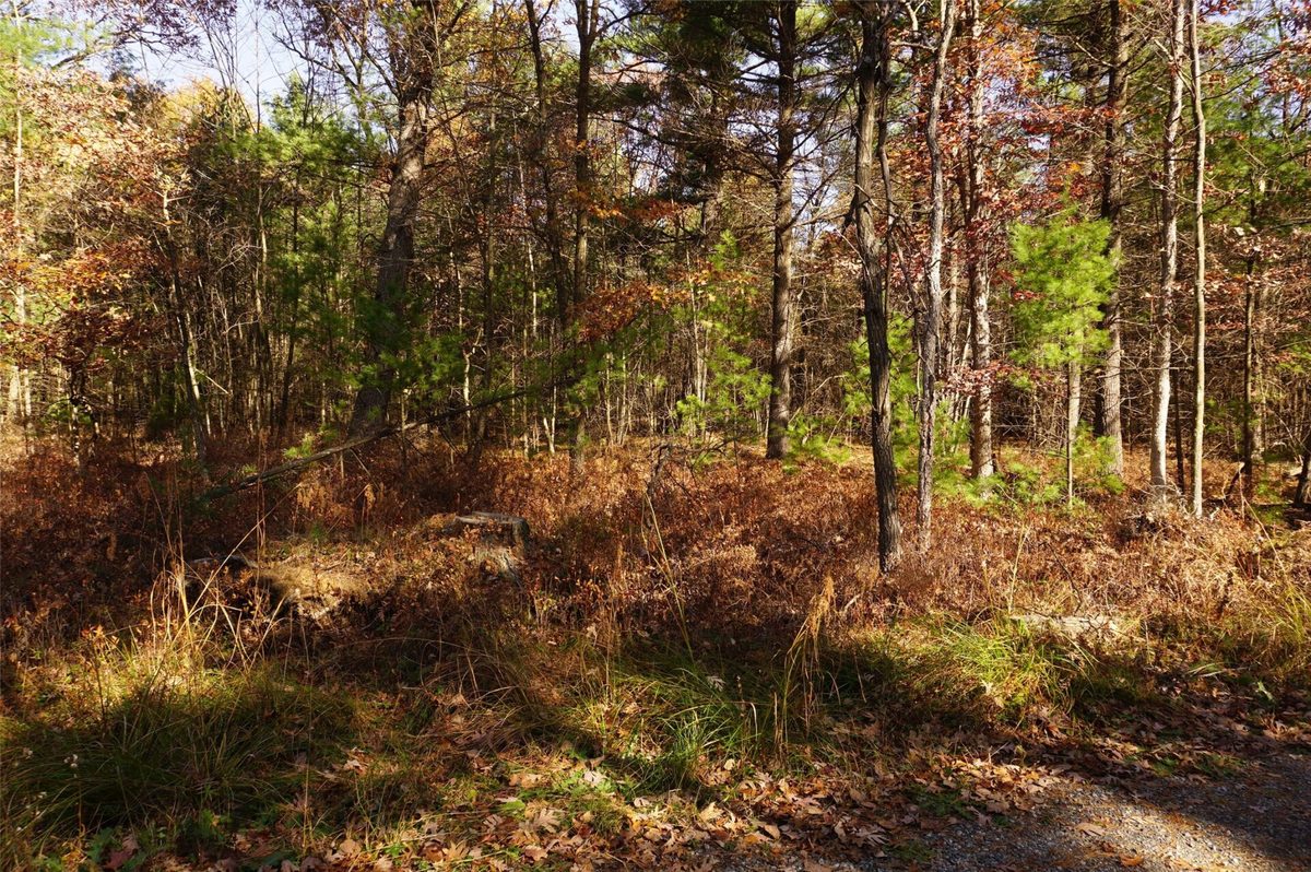 Lot 6 County Road J, Neillsville WI 54456 - Land house for sale - MLS #1606165 - image2