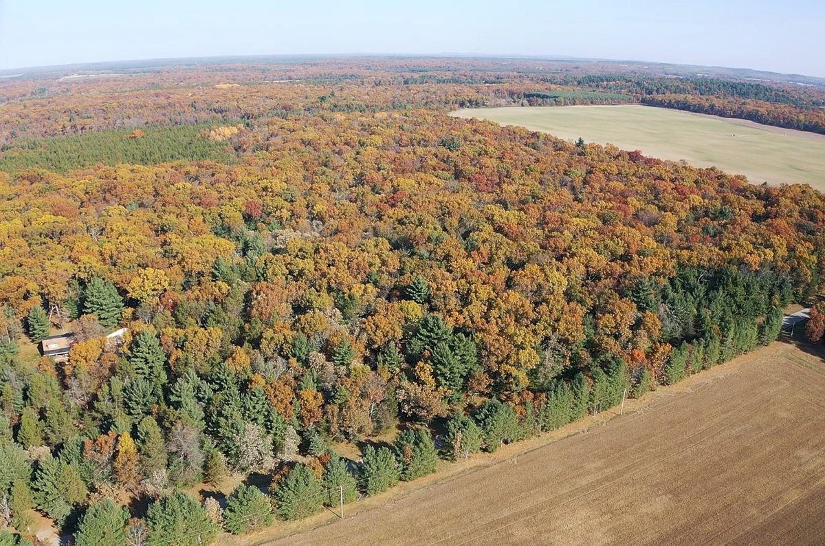 TBD Fish Drive, Grand Marsh WI 53936 - Land house for sale - MLS #1606229 - image8