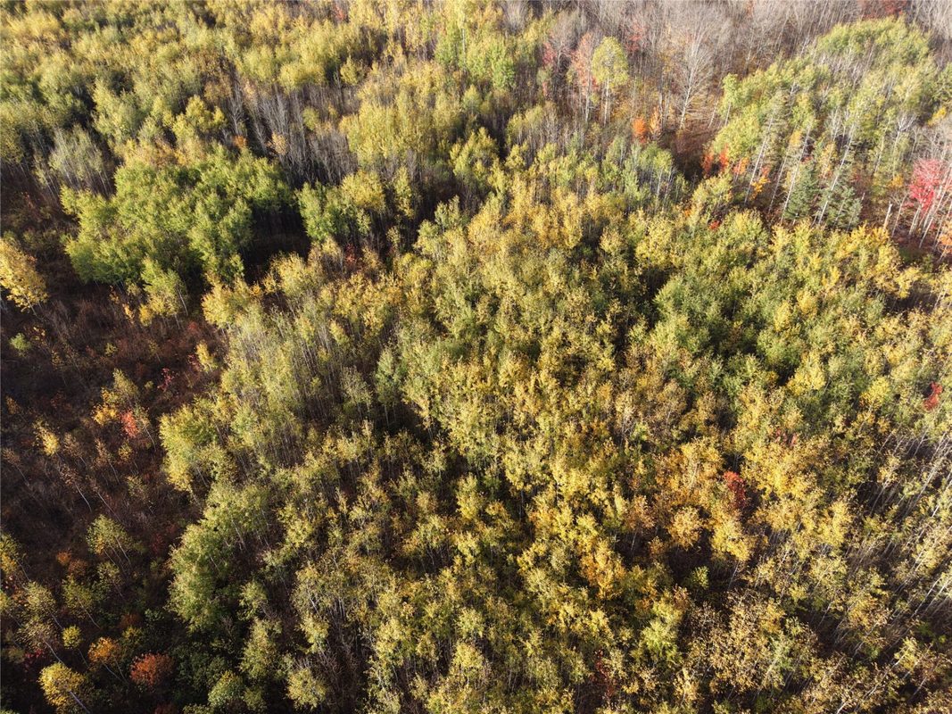 On County Highway W, Winter WI 54896 - Land house for sale - MLS #1605419 - image11