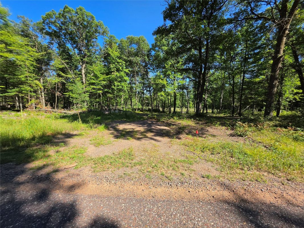 27696 295th (Lot 15) Street, Holcombe WI 54745 - Land house for sale - MLS #1604256 - image3