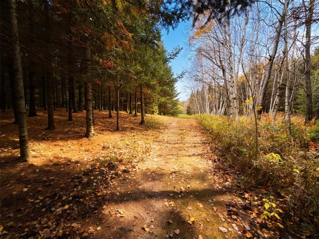 789 29 1/2 Avenue, Barronett WI 54813 - Land house for sale - MLS #1606193 - image8