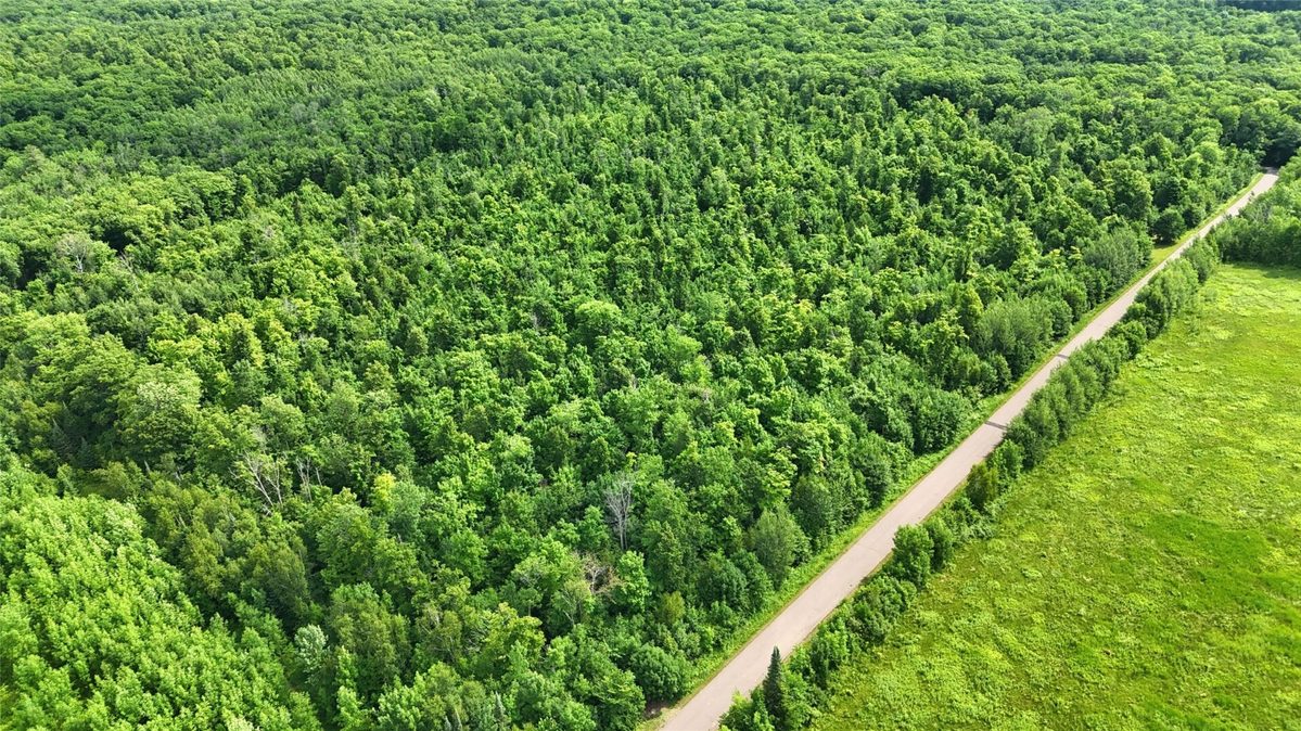 XXX Eckel Lane, Couderay WI 54835 - Land house for sale - MLS #1603143 - image27