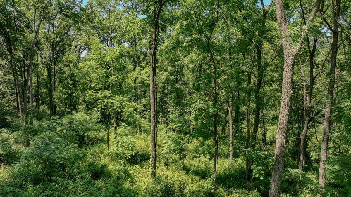 00 Garves Coulee Road, Bangor WI 54614 - Land house for sale - MLS #1603270 - image16