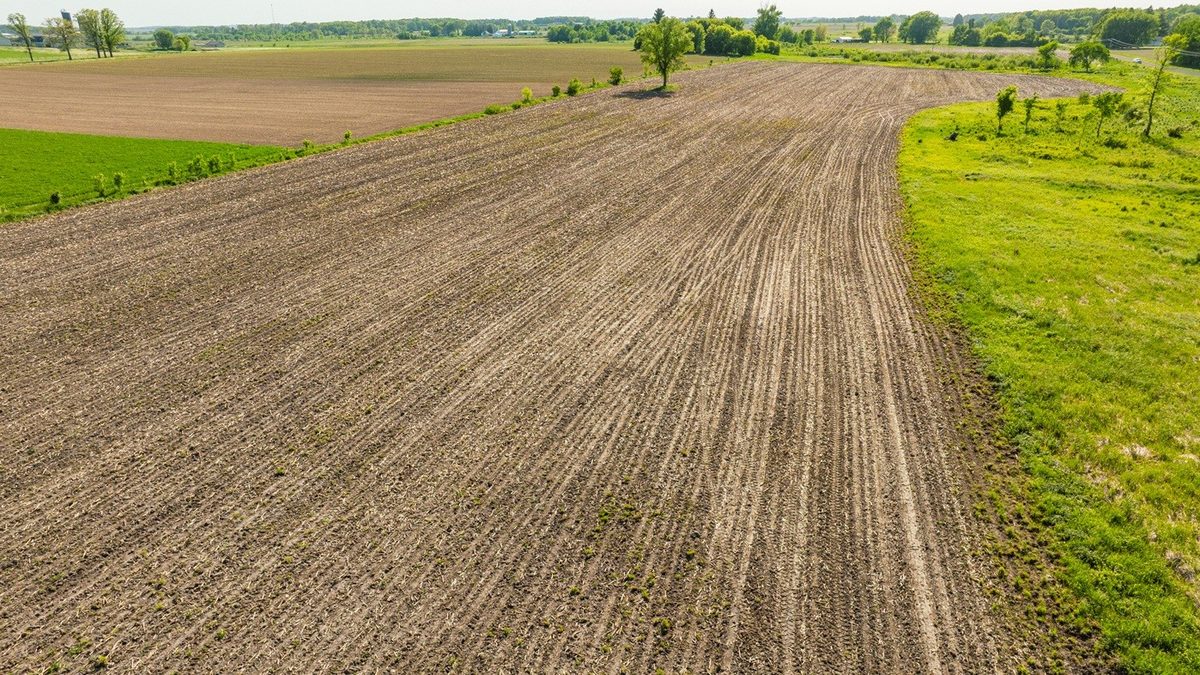 0 Nyes Road, Stanley WI 54768 - Land house for sale - MLS #1601802 - image16