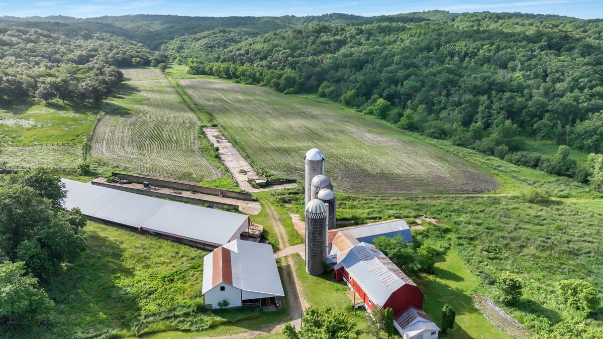 N3684 Claire Road Taylor WI 54659 — photo 31