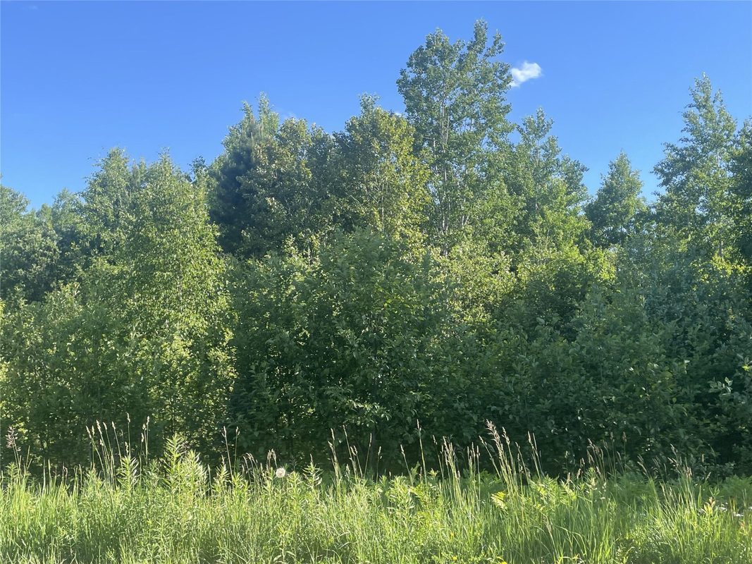 39+/- A on County Highway E, Iron Belt WI 54536 - Land house for sale - MLS #1602959 - image14