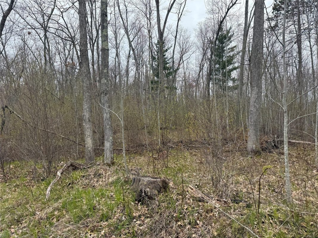 XXX Foss Lane, Spooner, WI — photo 9