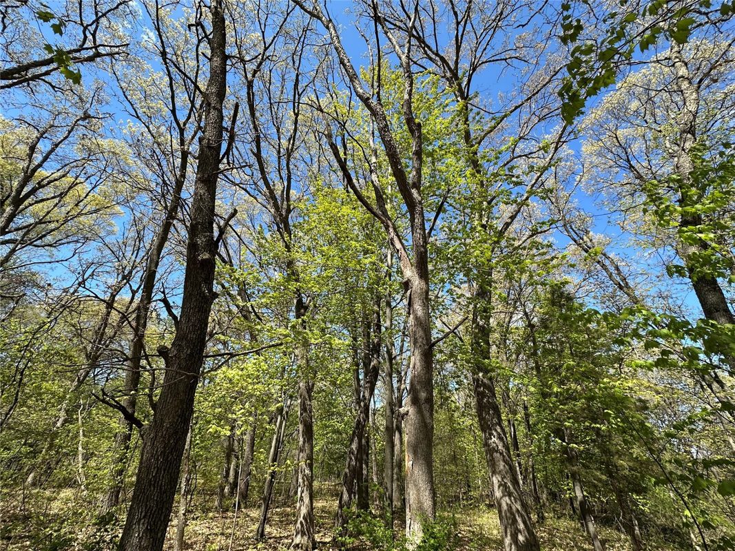 1438 Pleasant Hill Road, Eau Claire WI 54703 - Land house for sale - MLS #1602766 - image42