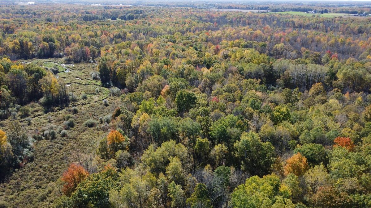 OOO RICHFIELD WOOD ROAD, Arpin WI 54410 - Land house for sale - MLS #1605936 - image12