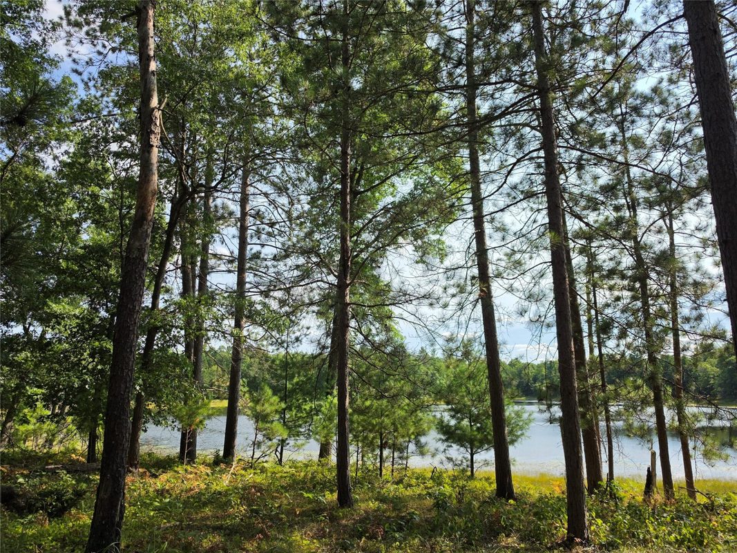 xxx County Road H, Danbury WI 54830 - Land house for sale - MLS #1600068 - image16