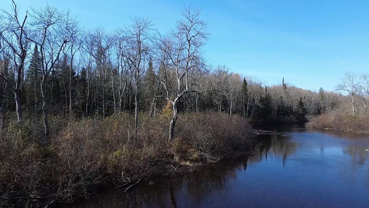 127XX State Highway 70, Couderay WI 54828 - Land house for sale - MLS #1606290 - image3