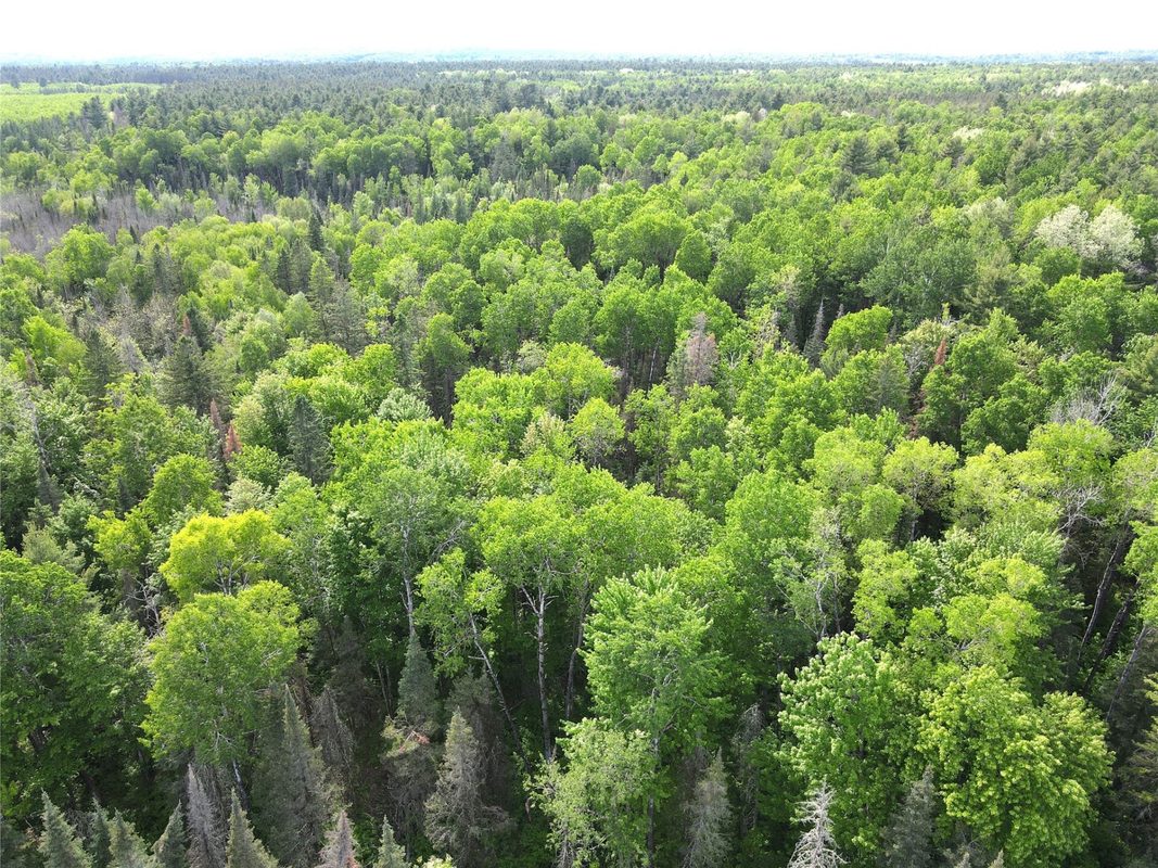 Lot 1 Smith Road, Couderay WI 54828 - Land house for sale - MLS #1601877 - image28