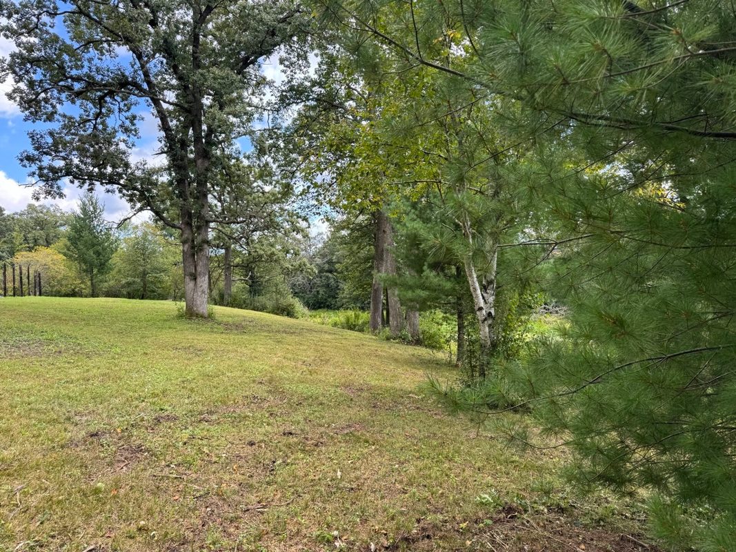 Lot 28 21st Street, Rice Lake WI 54868 - Land house for sale - MLS #1603229 - image5
