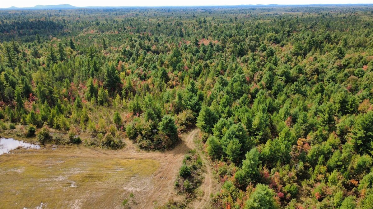 W4199 Ballard Road, Neillsville WI 54456 - Land house for sale - MLS #1605652 - image14