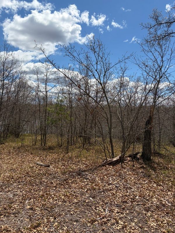 Lot 2 Sleepy Eye Road, Minong WI 54859 - Land house for sale - MLS #1602148 - image7