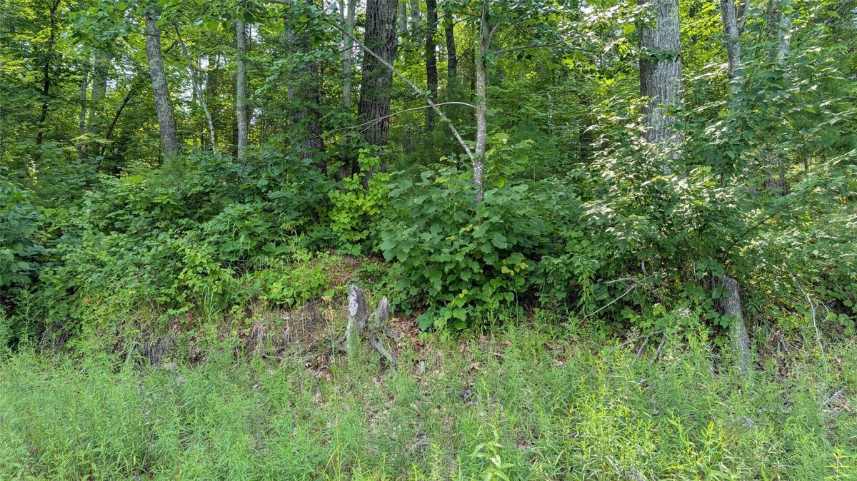 Lot 4 County Highway CC, Couderay WI 54828 - Land house for sale - MLS #1603366 - image16
