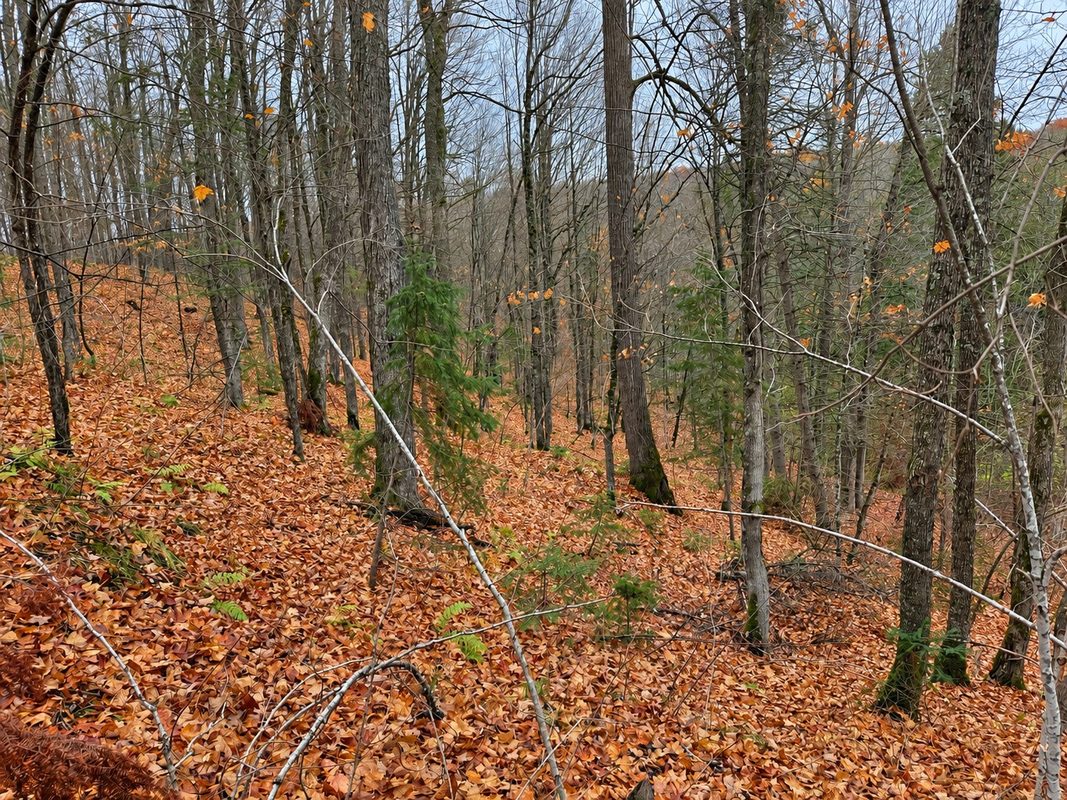 76886 Red House Road, Mellen WI 54546 - Land house for sale - MLS #1606363 - image8