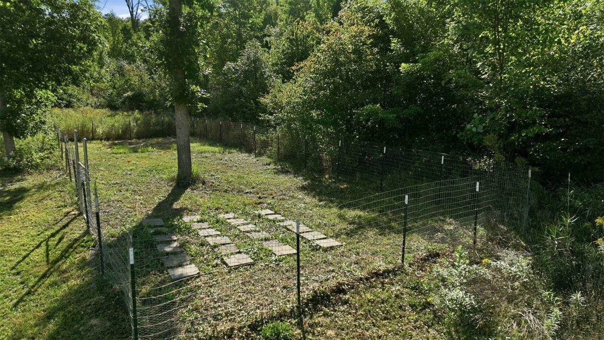 2535 11th Avenue, Chetek WI 54728 - Land house for sale - MLS #1604791 - image9