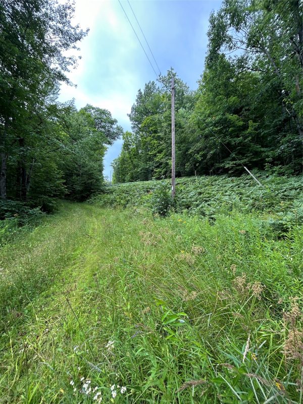 On Strabel Road, Stone Lake WI 54876 - Land house for sale - MLS #1604177 - image15
