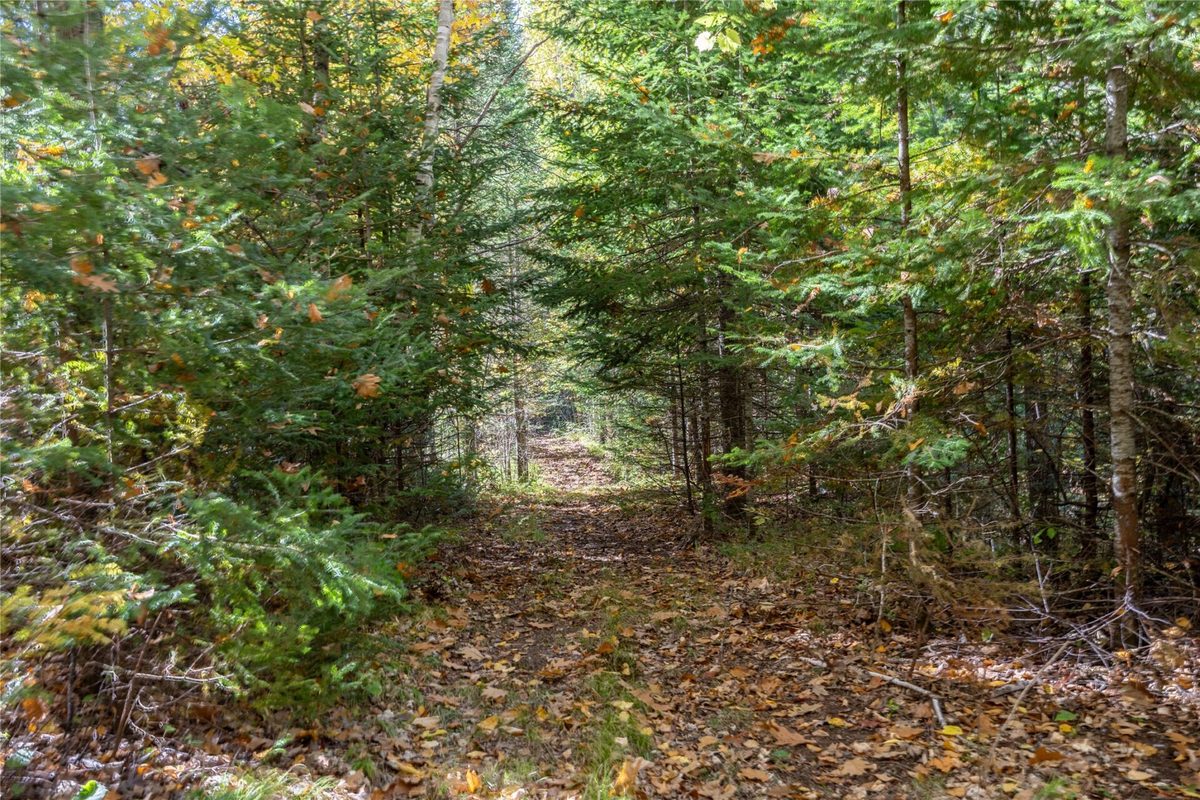 W5957 Happy Acres Road Tony WI 54563 - image29