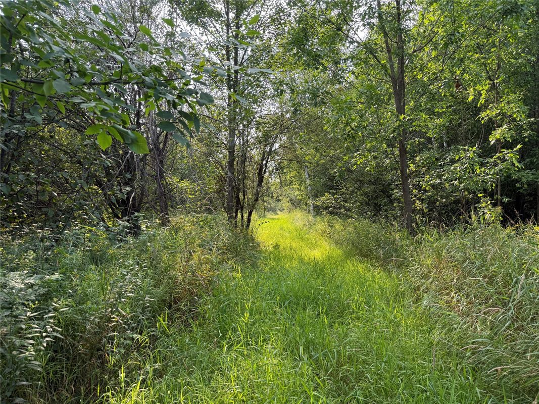 N8817 Smith Drive, Sheldon WI 54766 - Land house for sale - MLS #1598687 - image6