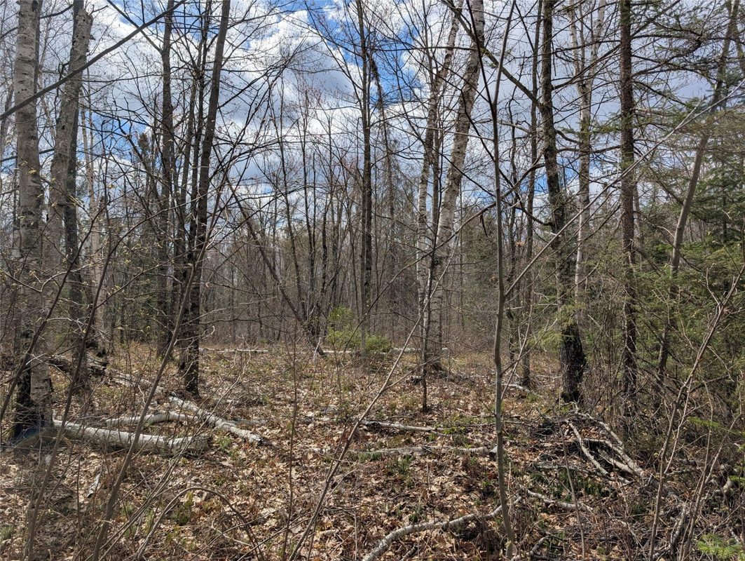 15138 Crotte Brook Trail, Danbury WI 54830 - Residential house for sale - MLS #1600976 - image44