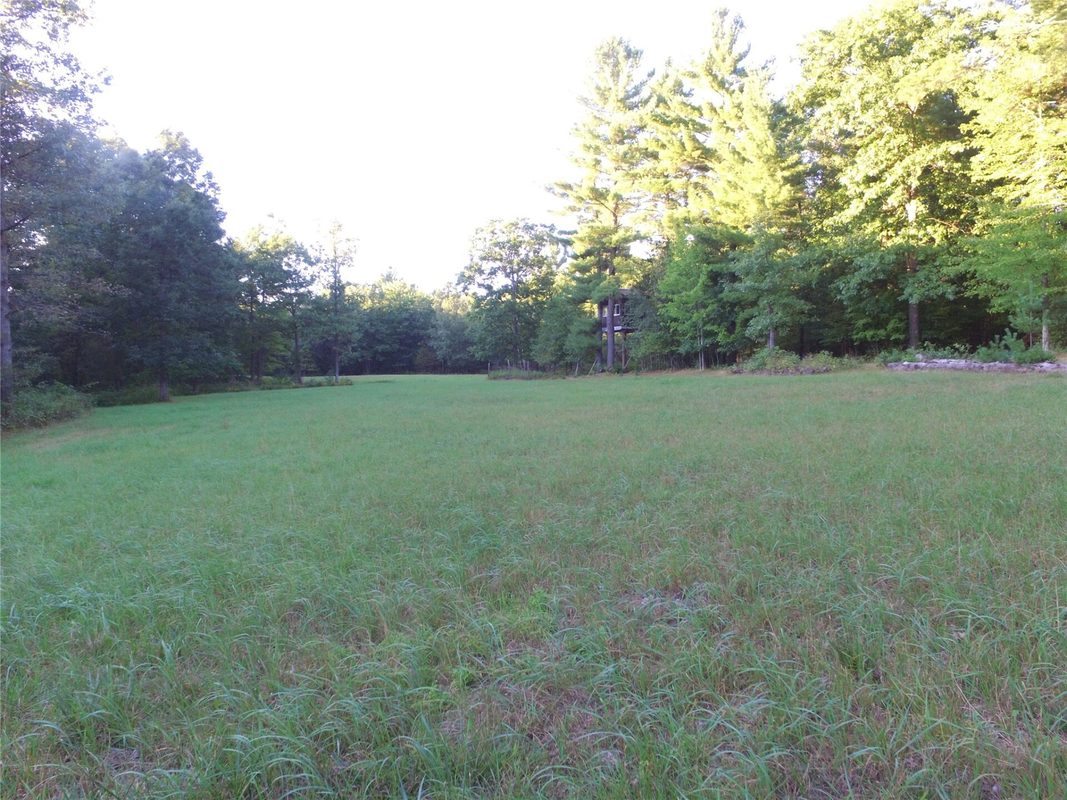 W10712 Popple River Road, Thorp WI 54771 - Land house for sale - MLS #1605082 - image27