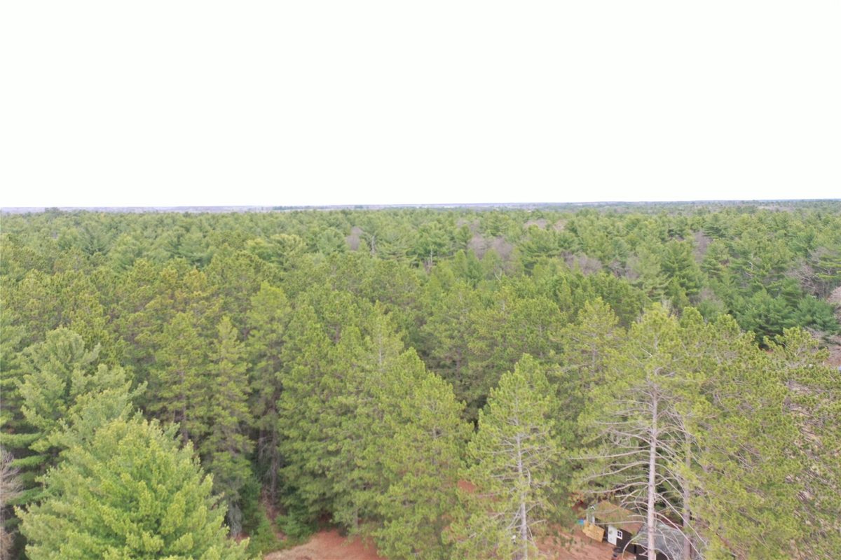 214 Benson Avenue Grantsburg WI 54840 — photo 5