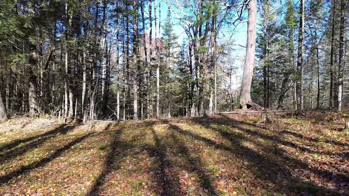 4800 43 Road, Solon Springs WI 54783 - Land house for sale - MLS #1606105 - image6