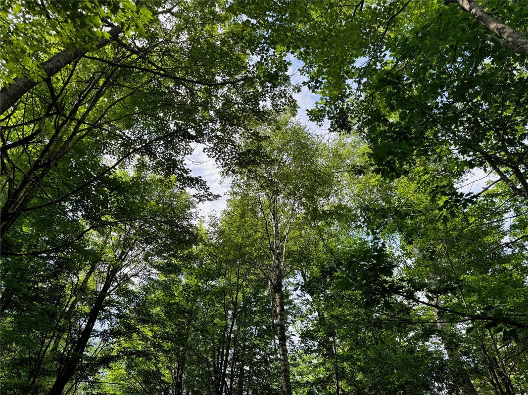 11149 Merganser Lane, Hayward WI 54843 - Land house for sale - MLS #1604672 - image42