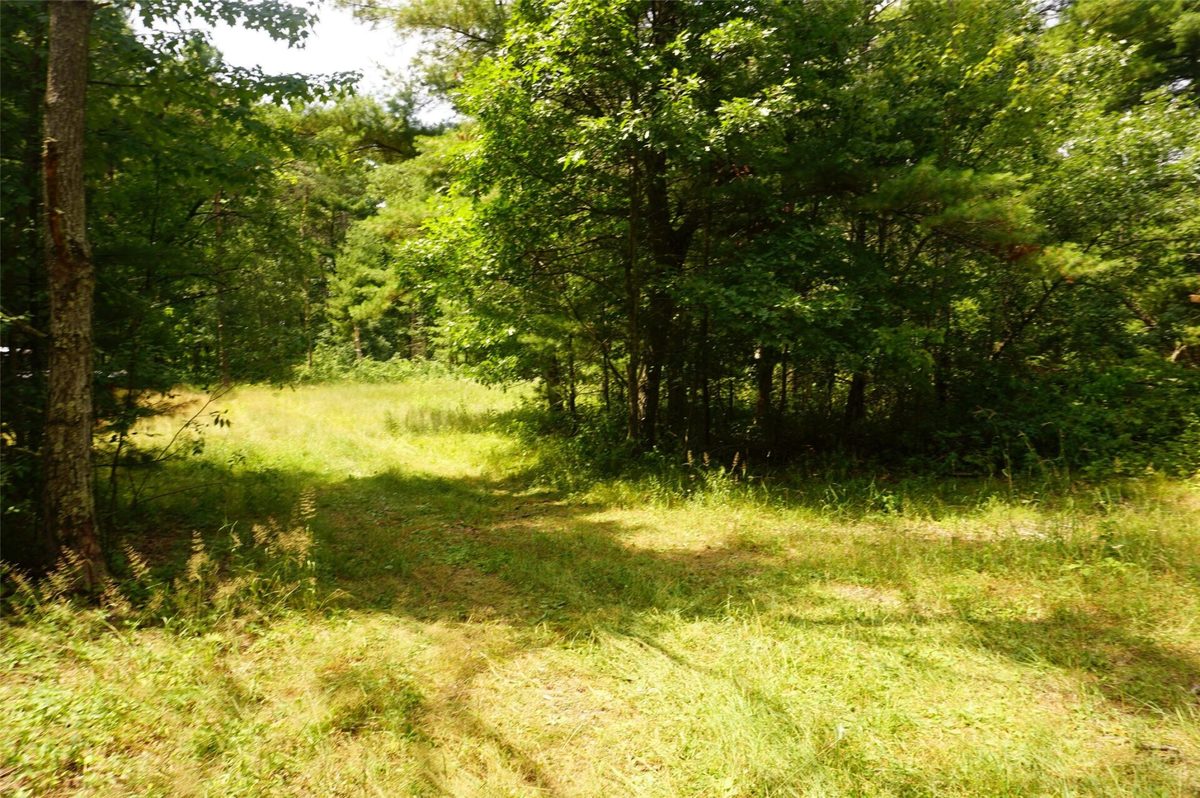 N9105 Flood Road, Black River Falls WI 54615 - Land house for sale - MLS #1603584 - image12