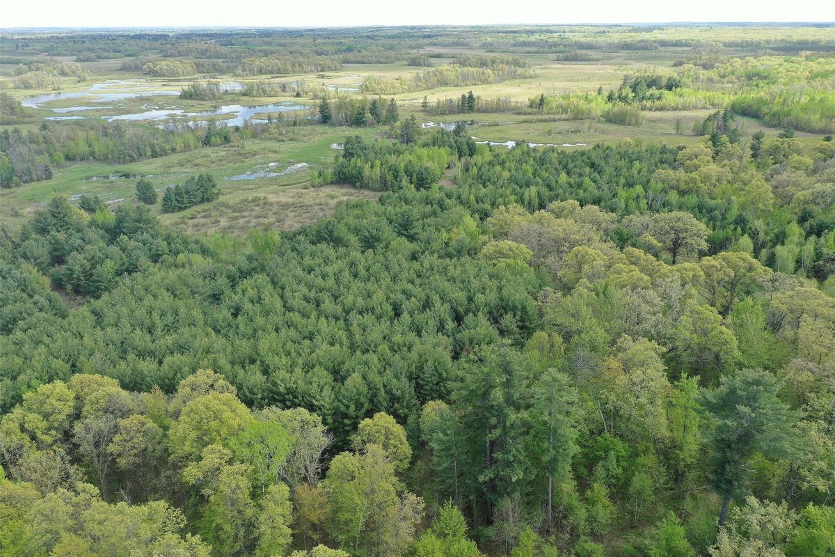 25275 Bruss Road, Webster WI 54893 - Land house for sale - MLS #1602158 - image34