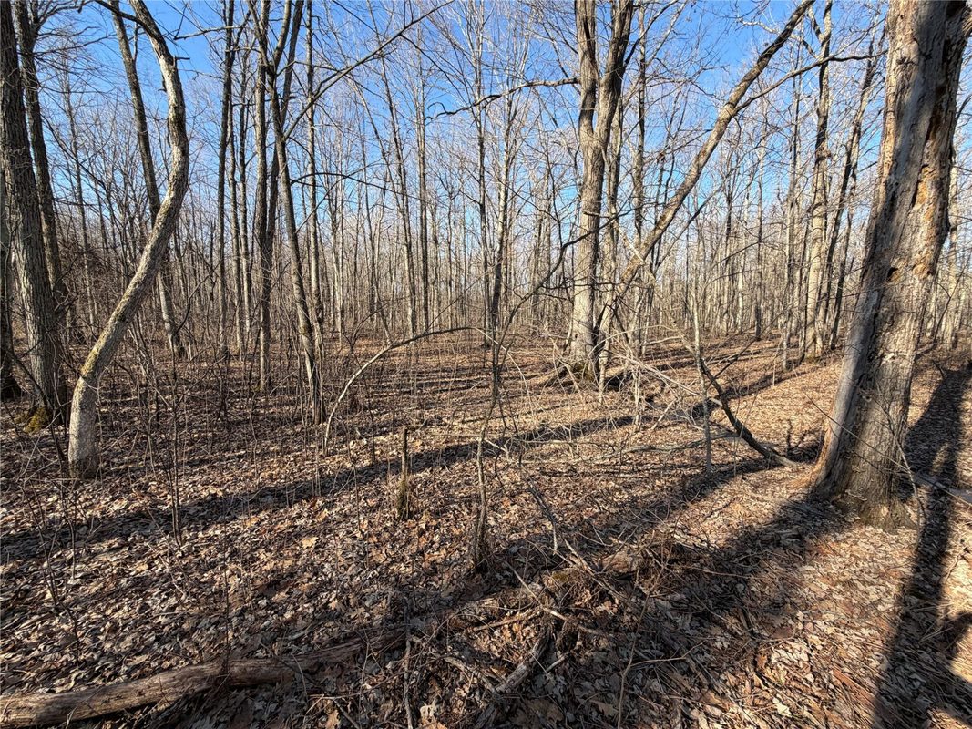 N5009 Degenaar Drive, Spooner WI 54801 - Land house for sale - MLS #1597770 - image5