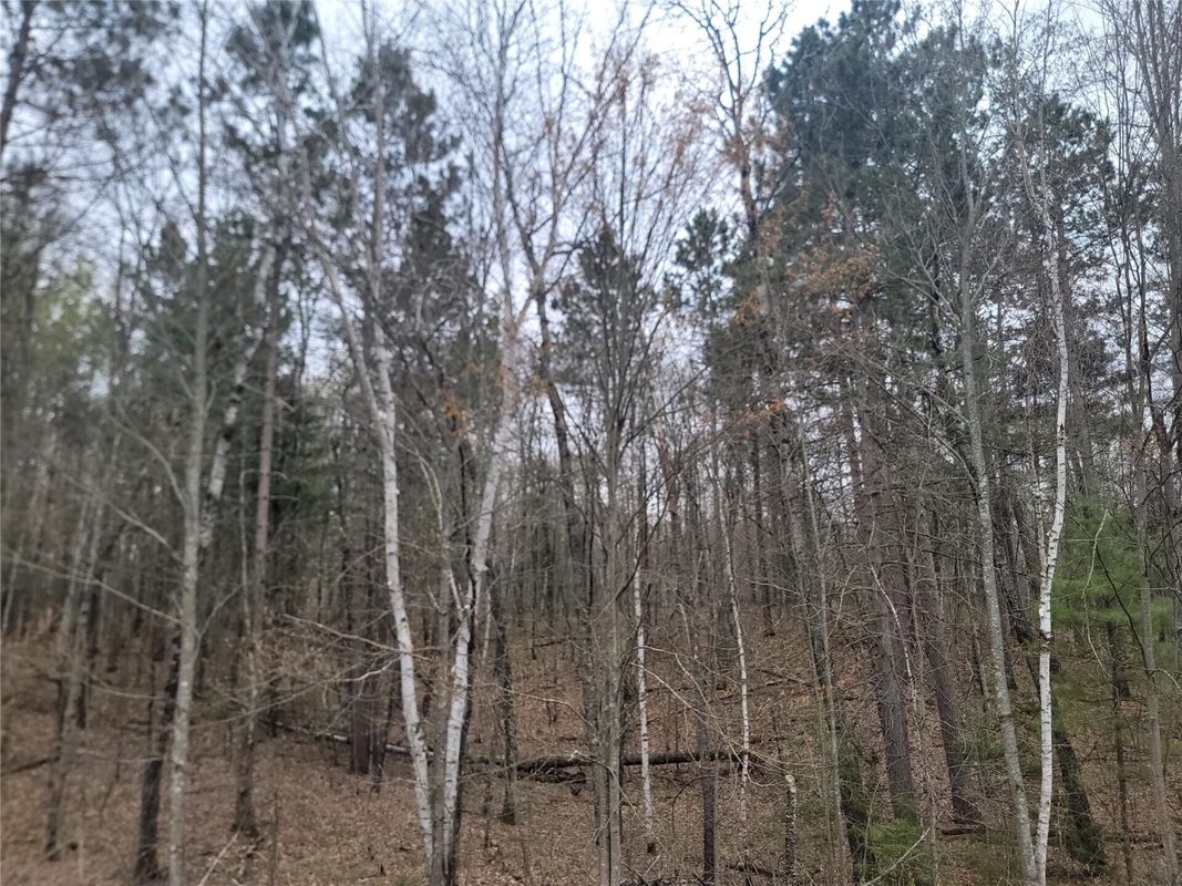 3598N Old J Road, Winter WI 54896 - Residential house for sale - MLS #1601670 - image19